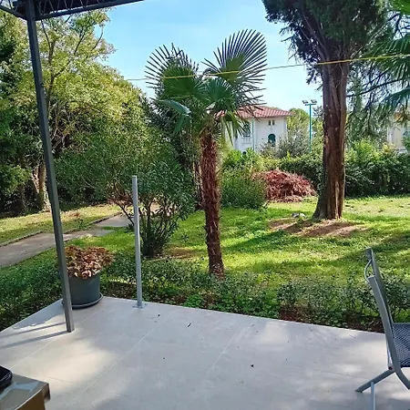 Andric * לובראן